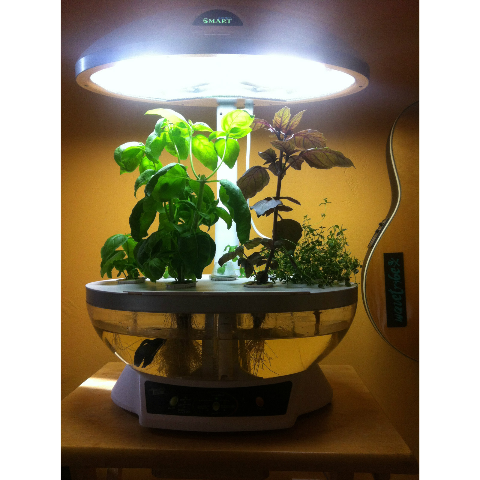 desktop aquaponics desktop aquaponics table top aquaponics table top 